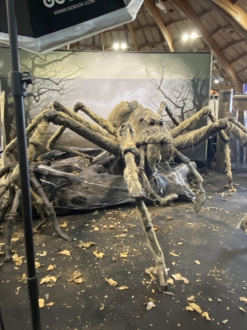 Avignon Geek Expo