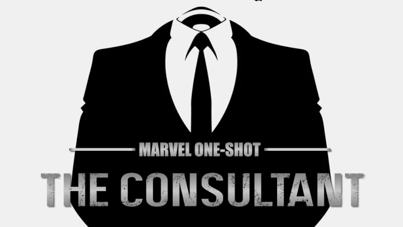 The Consultant